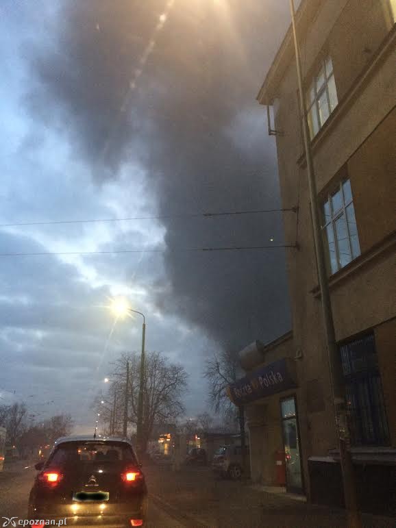 fot. Katarzyna Kudlisnka