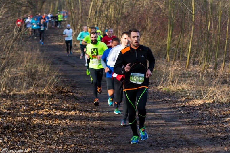 fot. Tomasz Szwajkowski/ City Trail