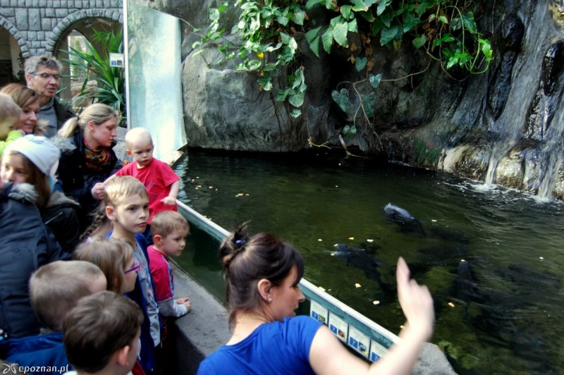 fot. ZOO Poznań