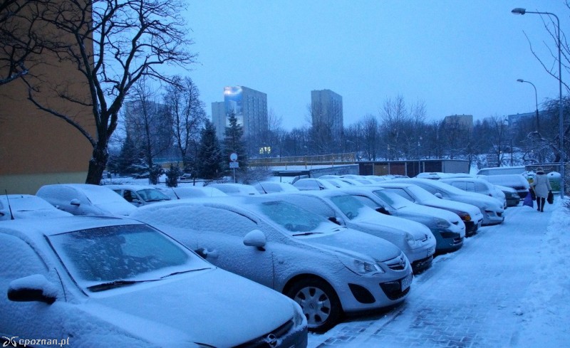 fot. Włodzimierz  Hoppel