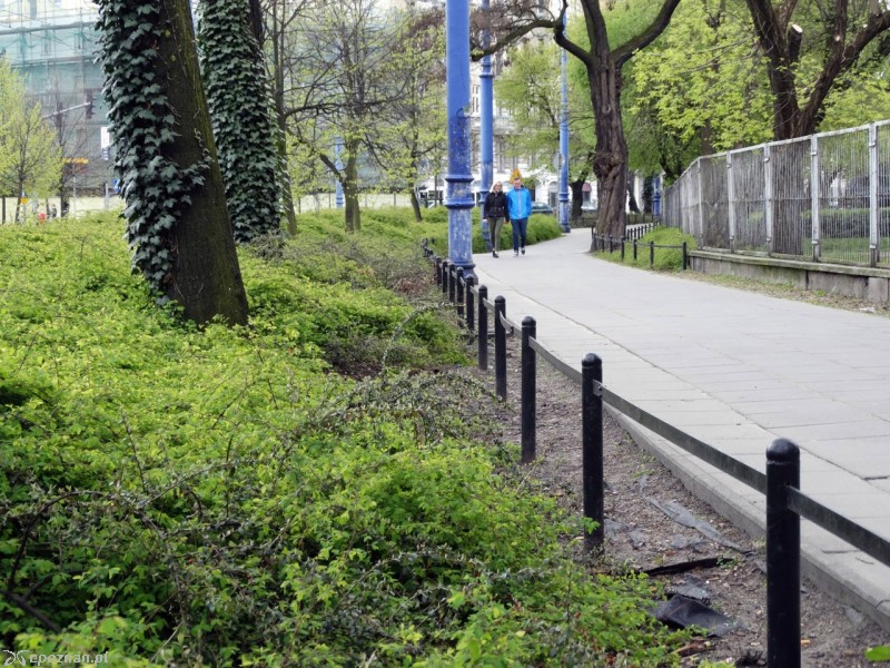 Dowbora-Muśnickiego | fot. ZDM Poznań
