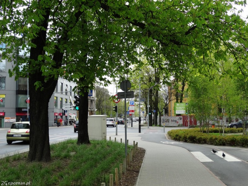 Bukowska/Szylinga | fot. ZDM Poznań