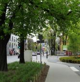 Bukowska/Szylinga | fot. ZDM Poznań
