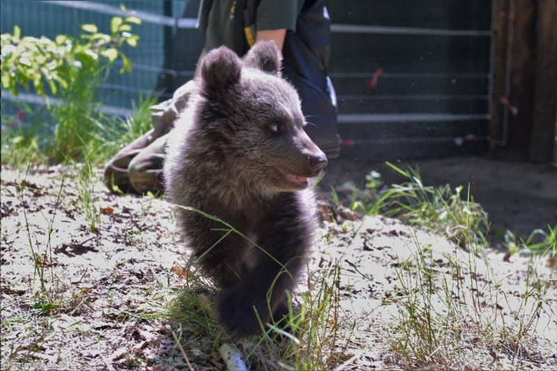 fot. ZOO Poznań