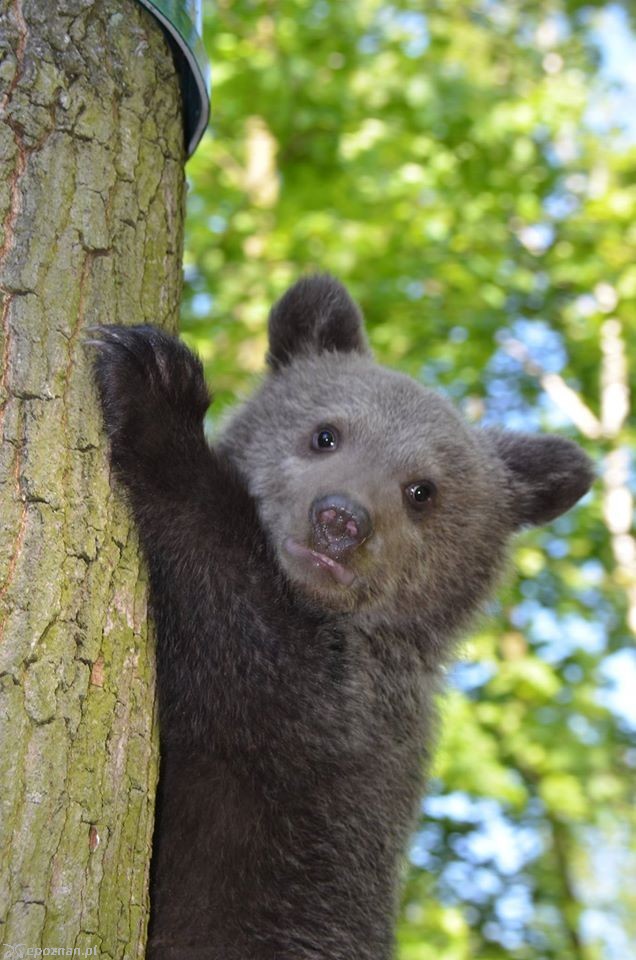 fot. ZOO Poznań