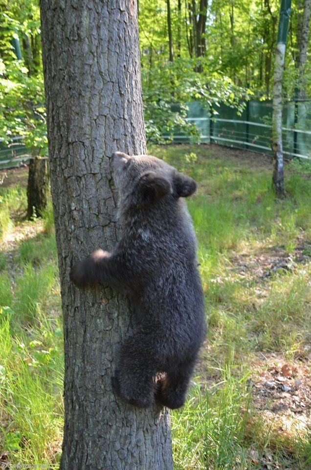 fot. ZOO Poznań