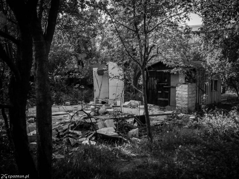 fot. Jacek Molski