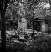 fot. Jacek Molski