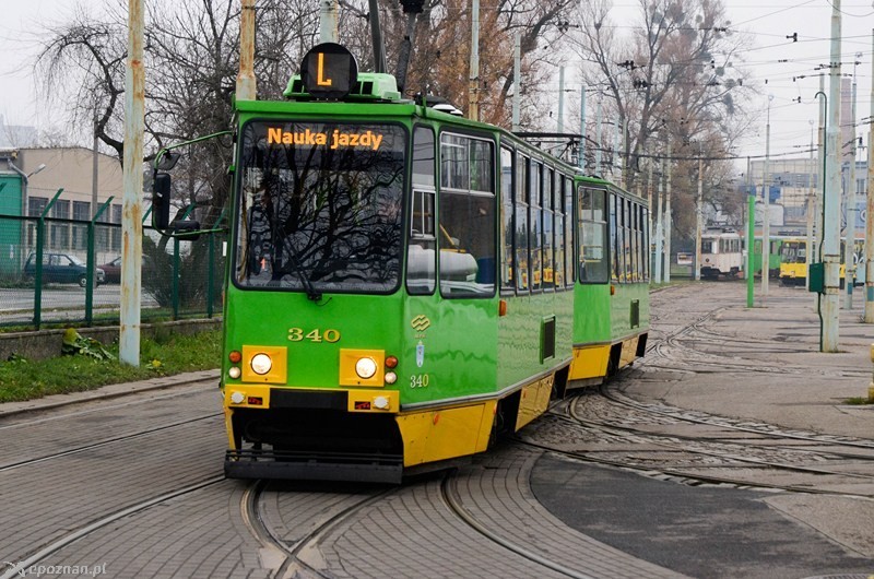 fot. Mateusz Gawarecki