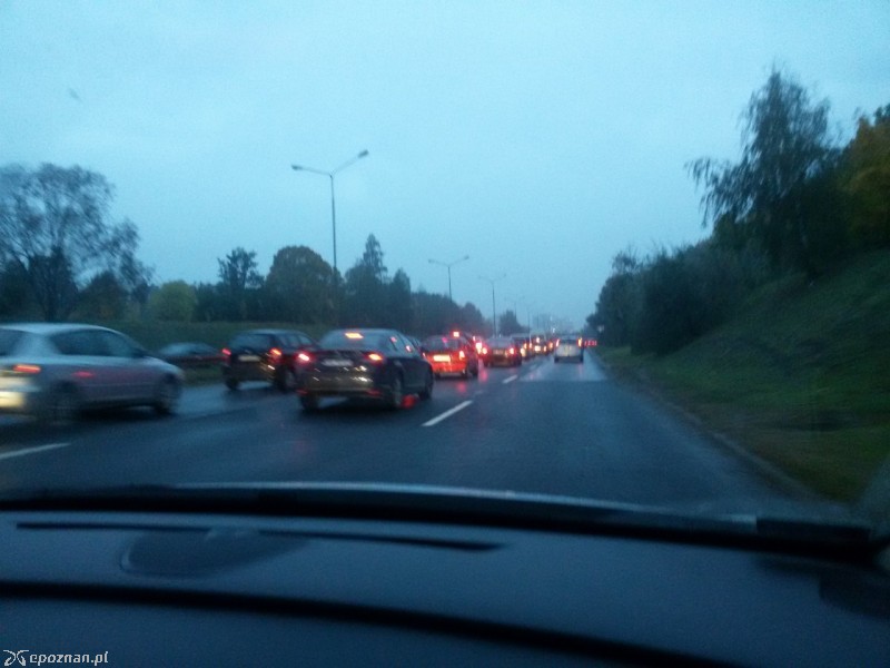 fot. Dariusz