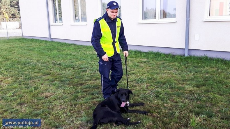 fot. policja