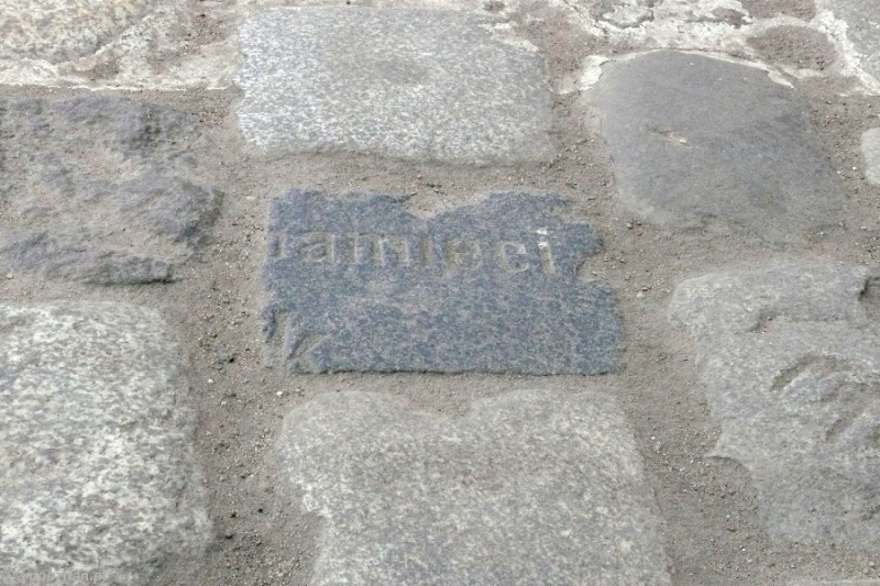 fot. Elżbieta Skowron
