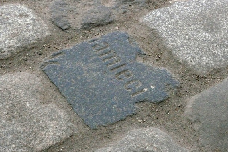 fot. Elżbieta Skowron