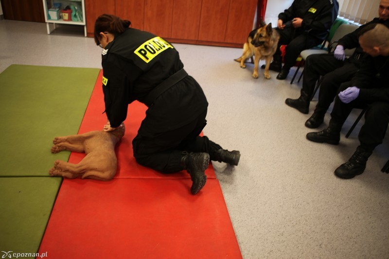 fot. Policja