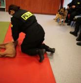 fot. Policja