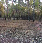 fot. mieszkanka Piątkowa