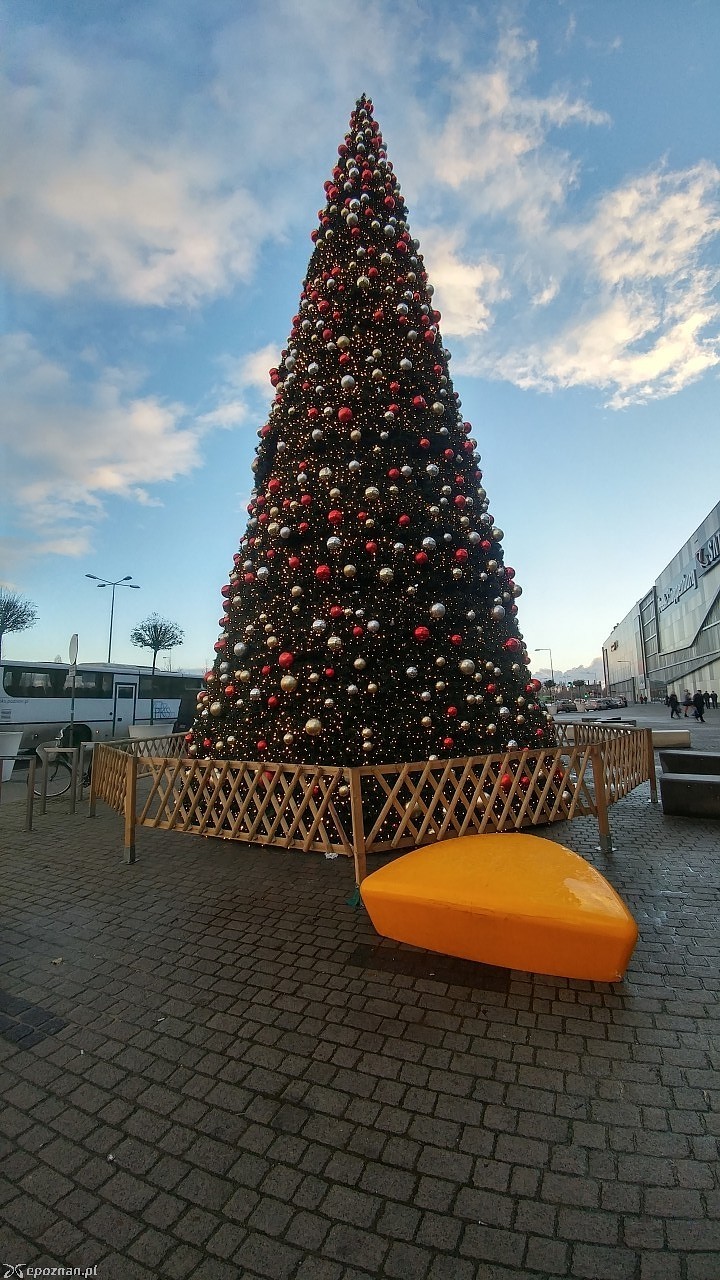 fot. czytelnik