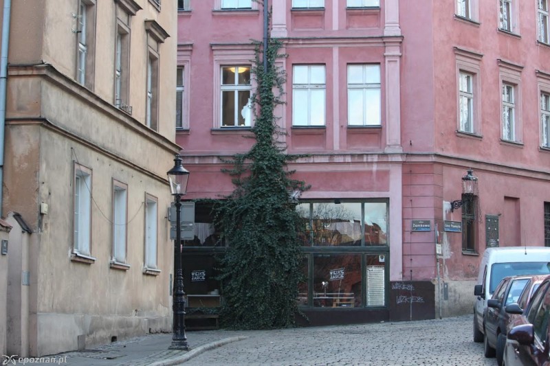fot. Jędrzej Gerwel