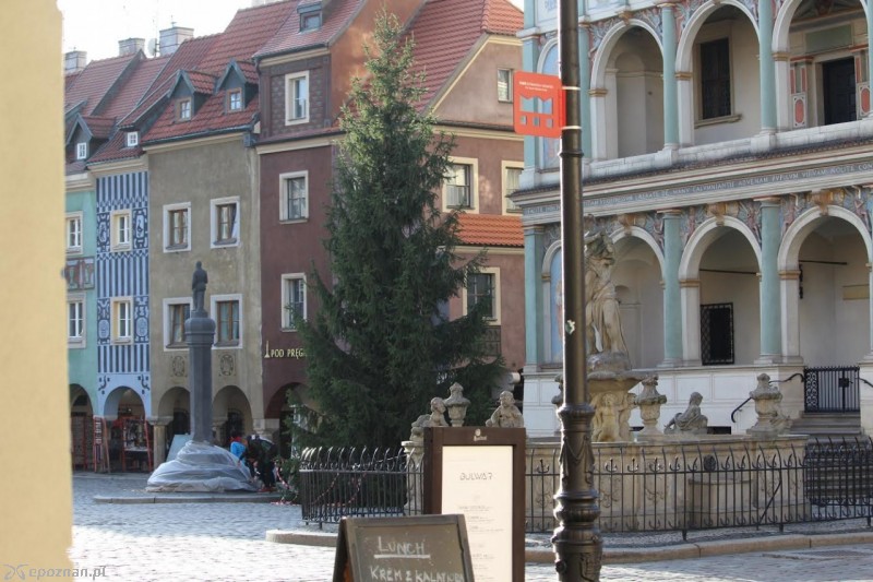 fot. Jędrzej Gerwel