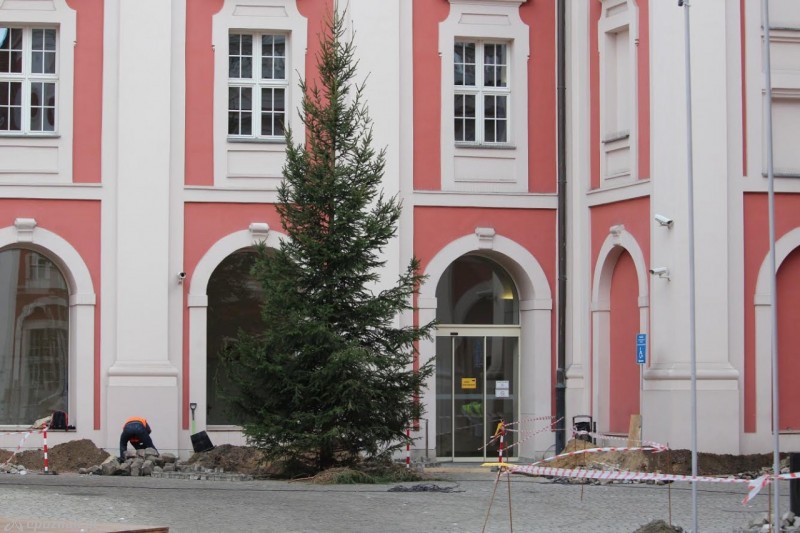 fot. Jędrzej Gerwel