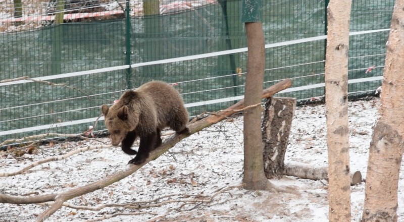 fot. ZOO Poznań
