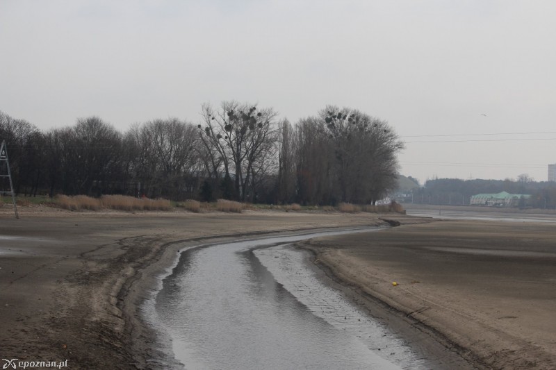 fot. Jędrzej Gerwel