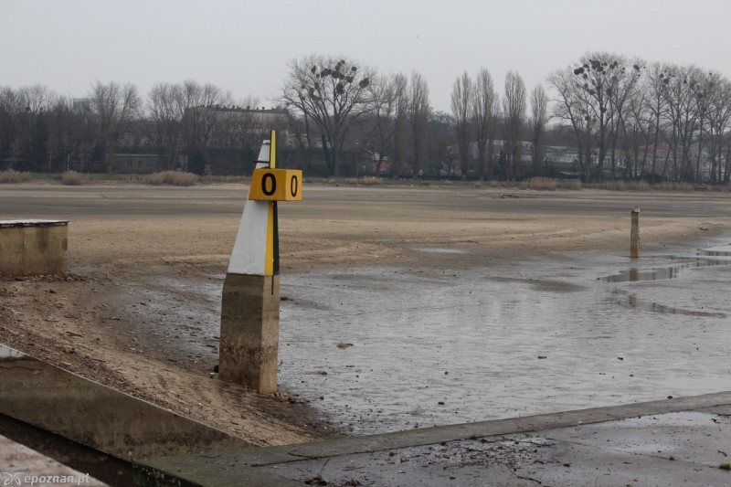 fot. Jędrzej Gerwel