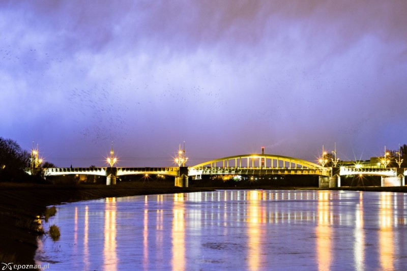 fot. Leszek Bartczak / Piorunująco