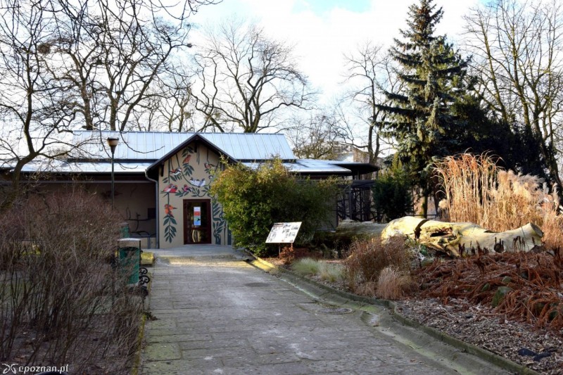 fot. Stare ZOO Poznań