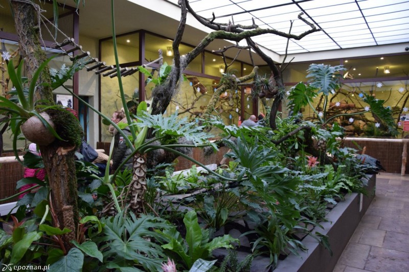 fot. Stare ZOO Poznań