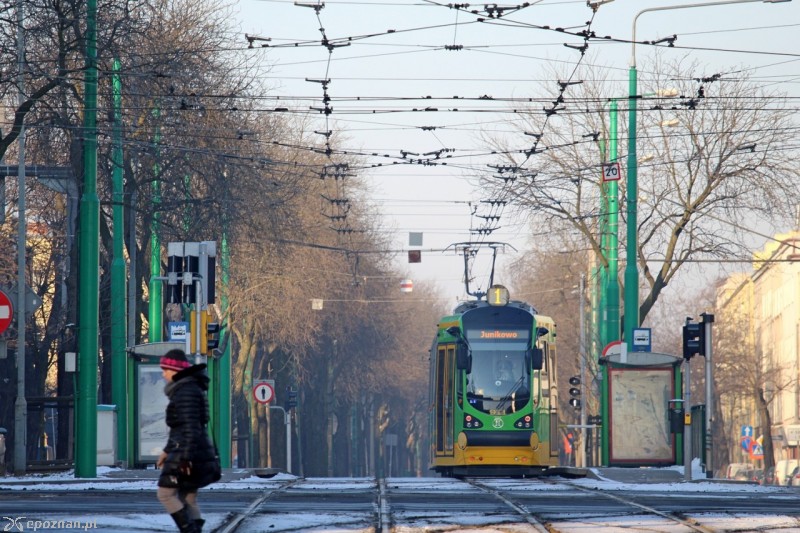 fot. K. Lesińska / MPK Poznań