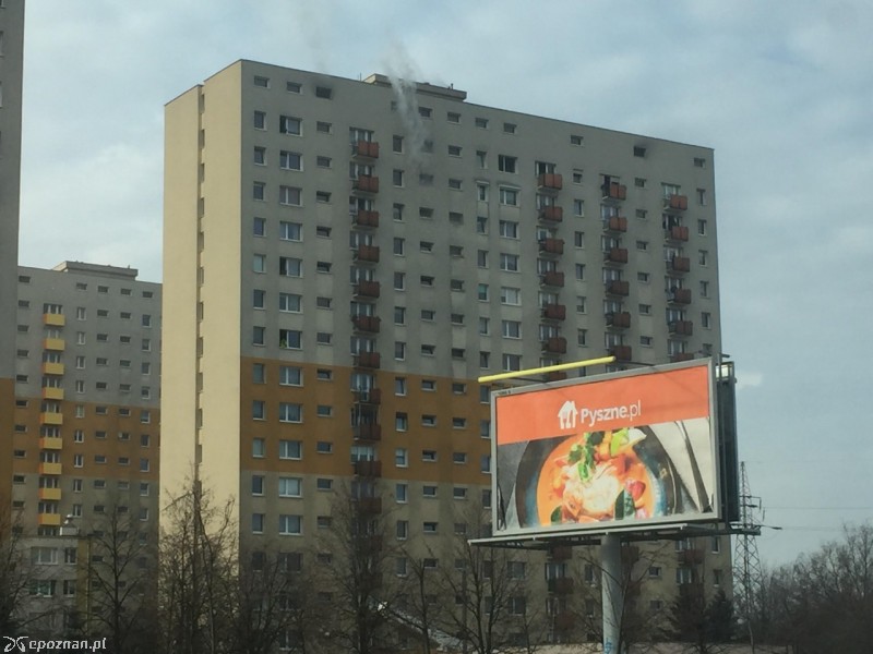 fot. Maciej Sobkowiak 