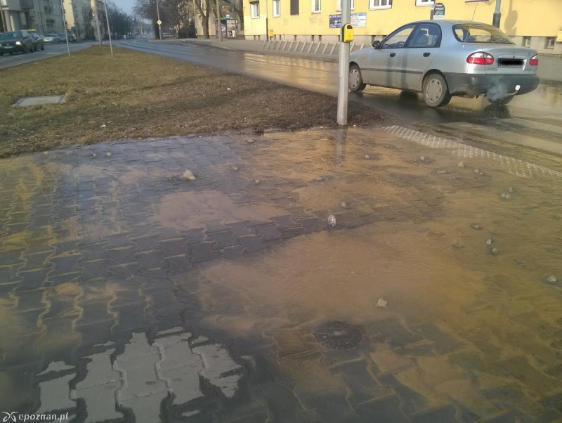fot. Jakub Gendera 