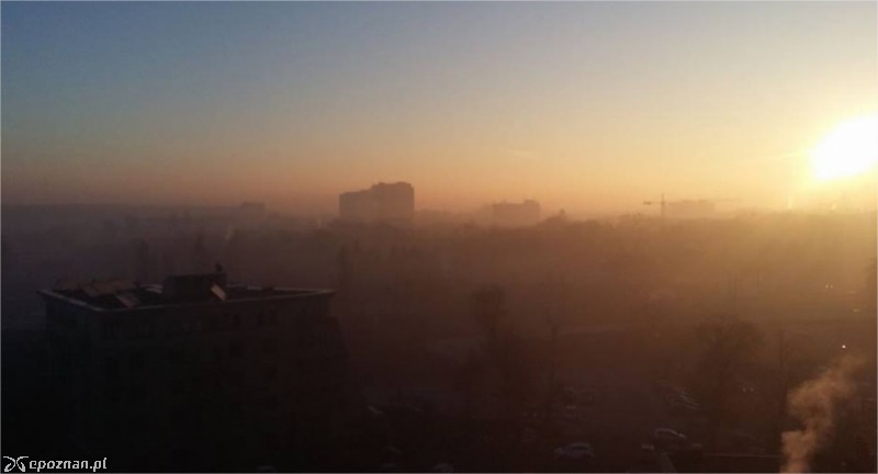 fot. Mariusz