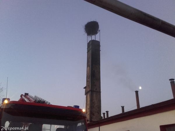 fot. KP PSP w Grodzisku Wielkopolskim