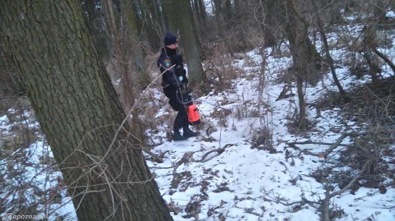 fot. Straż miejska