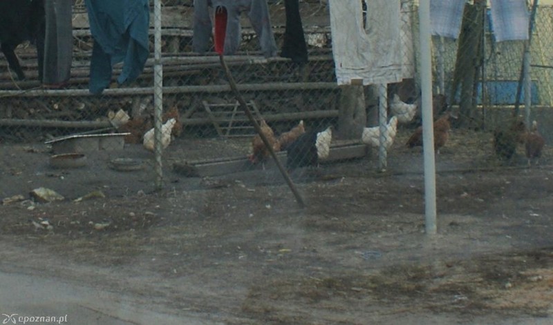 fot. policja