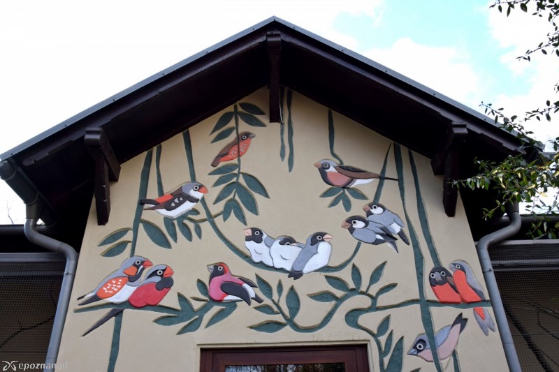 fot. ZOO Poznań