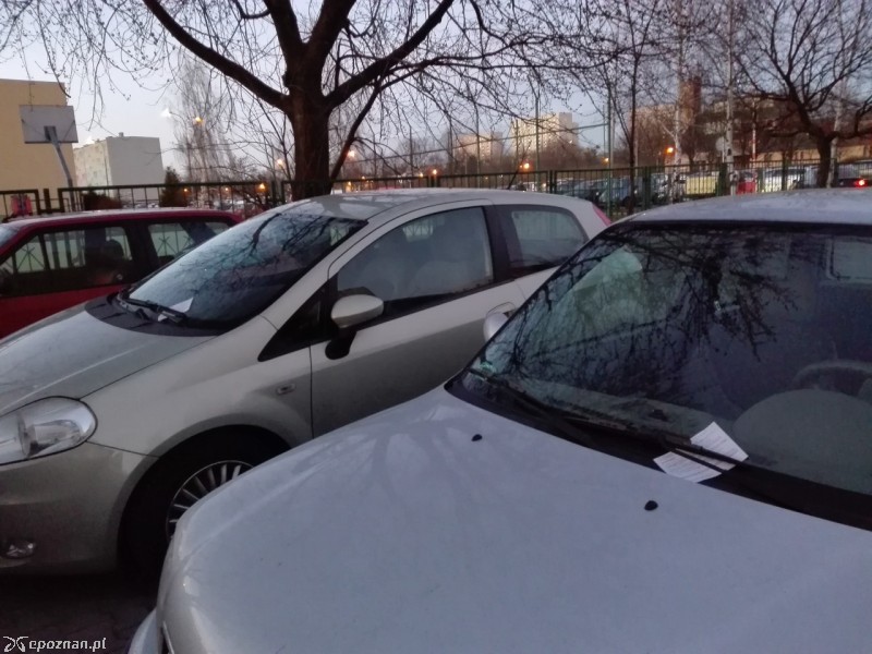 Mandaty wystawione pod koniec marca | fot. czytelnik