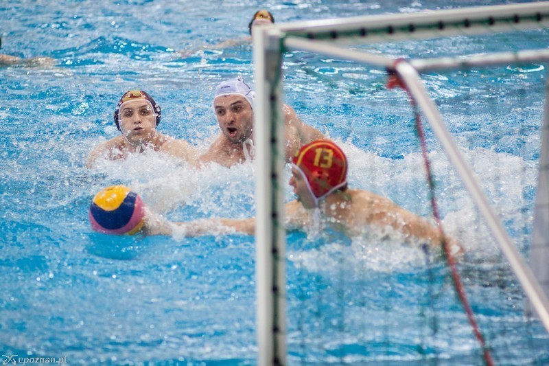 Alstal Waterpolo Poznań - Legia Warszawa 13:12  | fot. Tomasz Szwajkowski