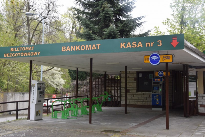 fot. ZOO Poznań