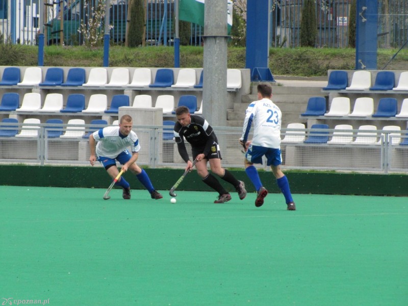 KS AZS AWF Poznań - LKS Gąsawa 6:3 | fot. Marek Janaszak