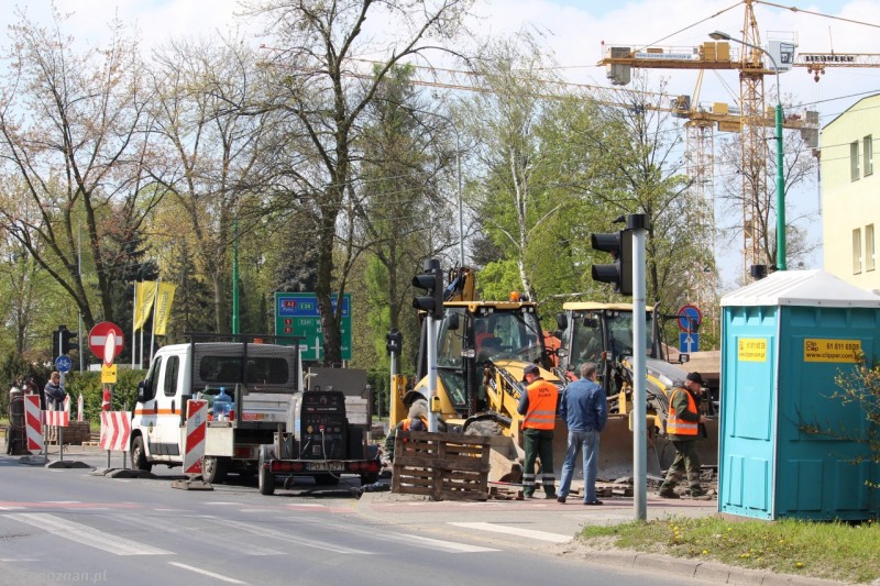 fot. Jędrzej Gerwel