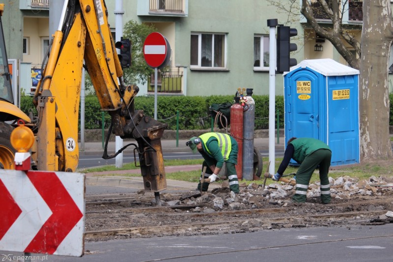 fot. Jędrzej Gerwel