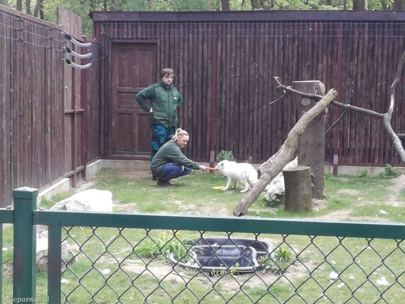 fot. ZOO Poznań na Facebooku