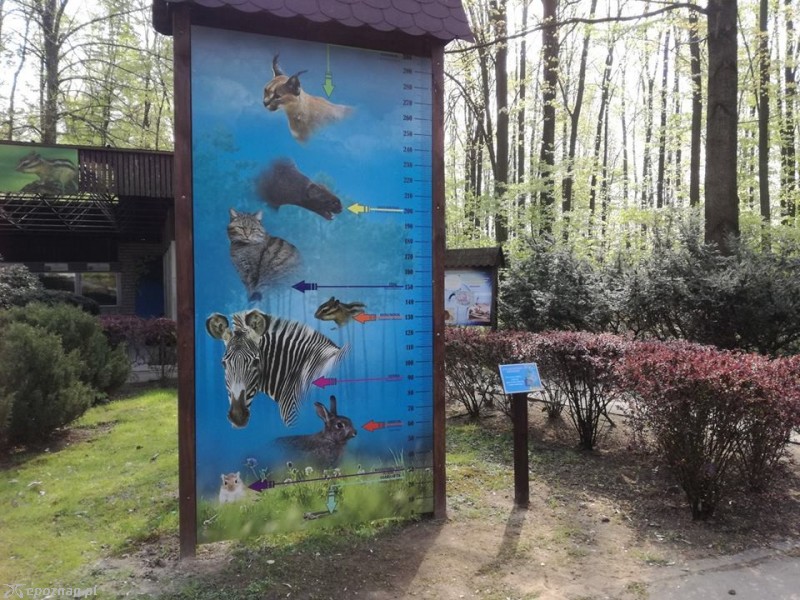 fot. ZOO Poznań na Facebooku