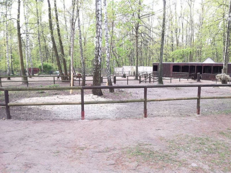 fot. ZOO Poznań na Facebooku