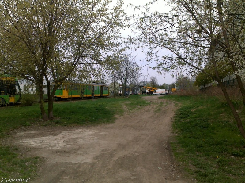 fot. Kamil