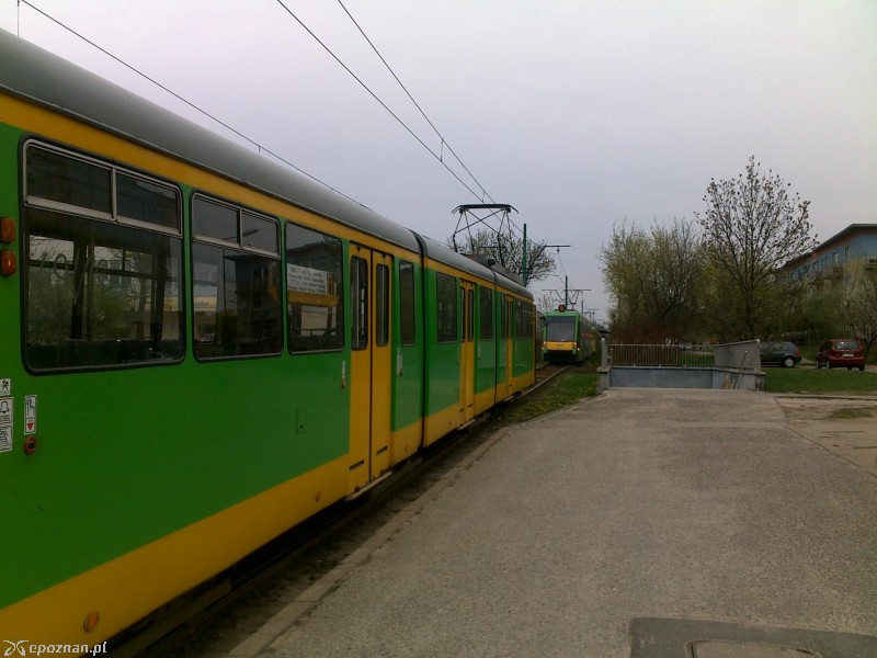 fot. Kamil