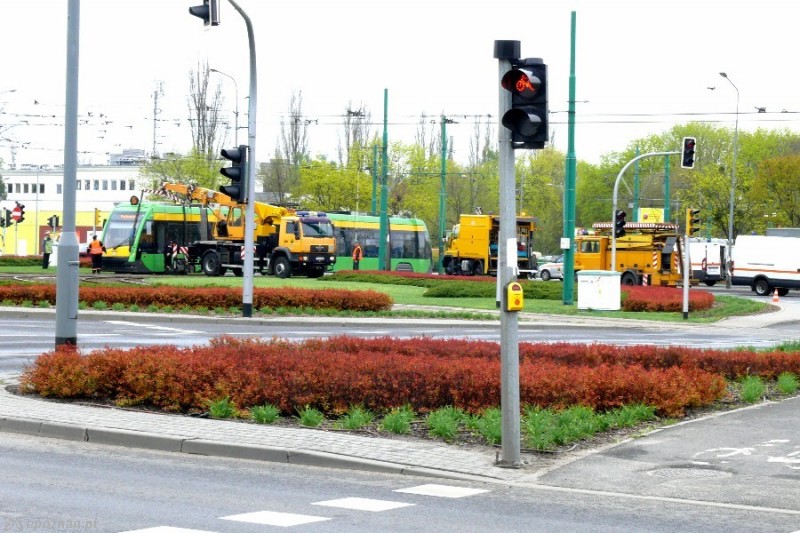 fot. Elżbieta Skowron